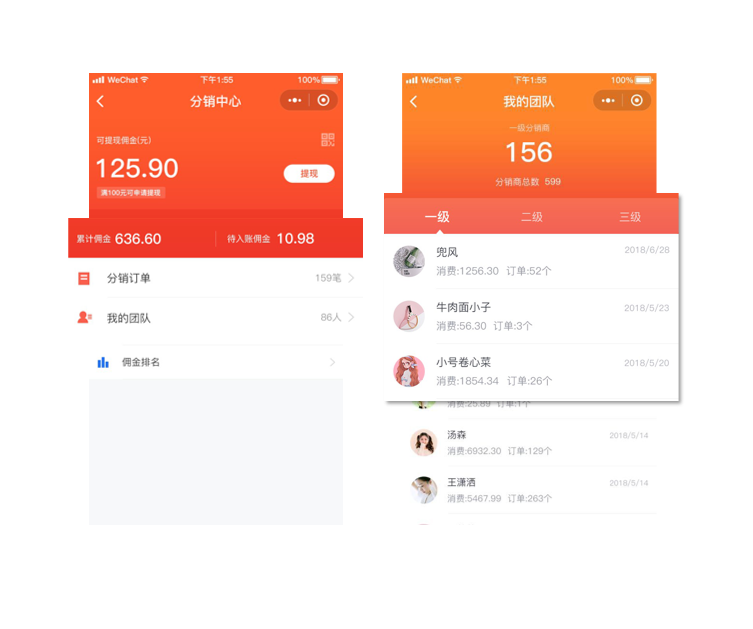 社交新零售商城