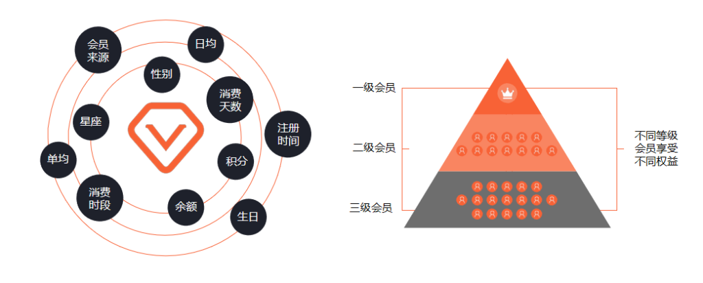 社交新零售商城