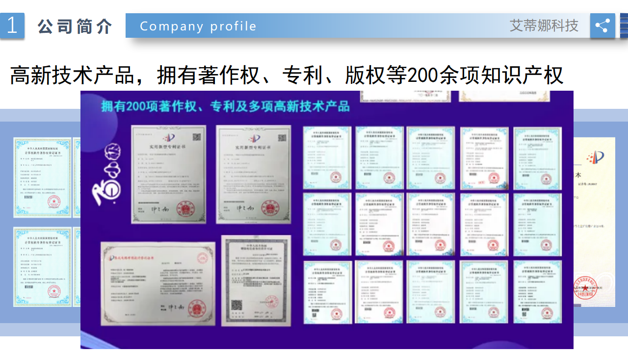 社交电商高端源码定制服务