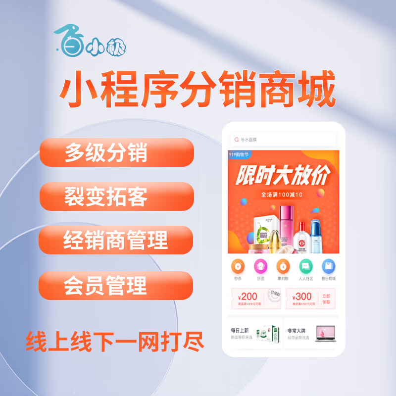 开发的小程序是无形资产吗?
