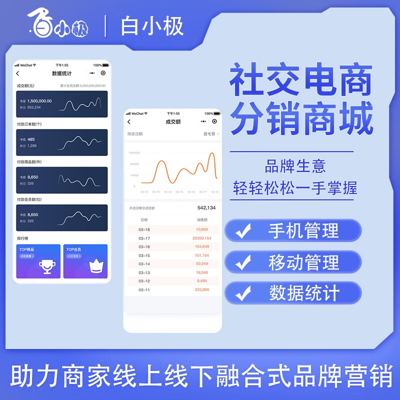 开发的小程序是无形资产吗?